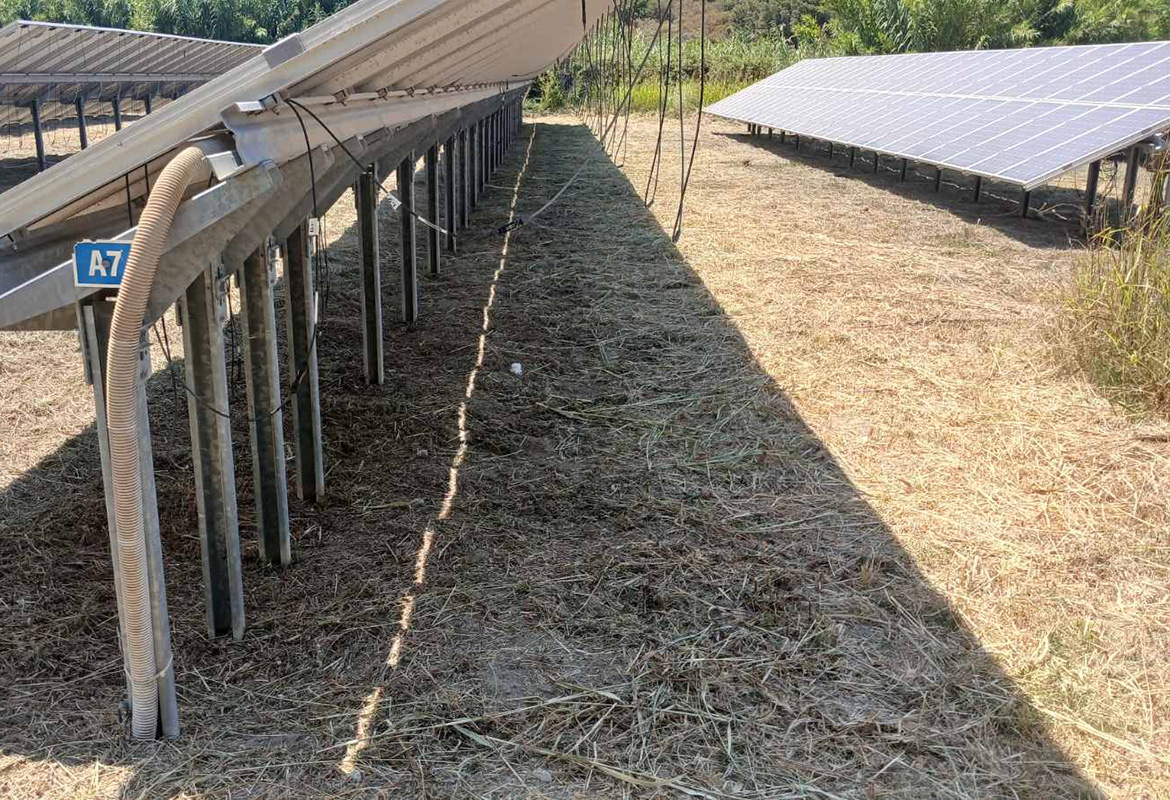 Αποψίλωση βλάστησης Φ/Β πάρκο 100kw Σάλακος Ρόδου